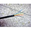 20251 30AWG��о�绰��