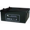 可靠的驰名商标12V200AH电力士UPS蓄电池