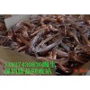 深圳市回收废铜，废钢，废铝，锌渣，废铁，废锡，镀金料，废电子