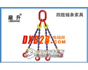 起重机用链条吊索具，耐磨高强度链条，1吨～70吨【龙海】