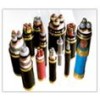 10KV电缆 高压三芯电缆 YJV22 3*70国标保检测