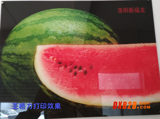 亚格力西瓜