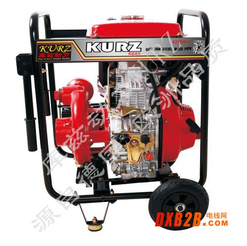 KZ30DP-I铸铁泵