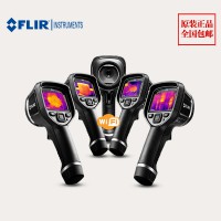 红外测温仪E4菲力尔FLIR