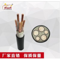 爬山虎牌YJV 3+2芯双绞线无氧铜花线灯头线家用电线