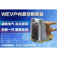 WEV户内真空断路器