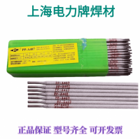 上海电力牌PP-A407/ E310-15不锈钢电焊条
