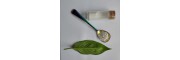 氧化锆（R30Y3）陶瓷的光固化成型